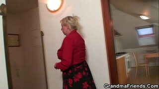 Vecchia vedova servizi due riparatori