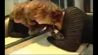 אוננות ומזוינת