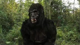 King Stone&amp;#039;s 40oz Bounce!