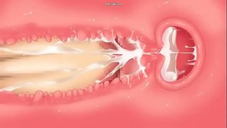 ���યોશીકોસી મિસૌડેન દ્વારા વોશિત્સુ માટે