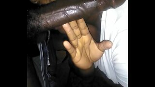 Pusdienlaikā head off dīvāna