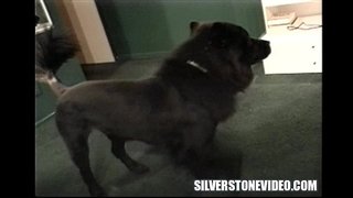 ���ैन्सी Vee खिलौनों से चुदाई मुह में