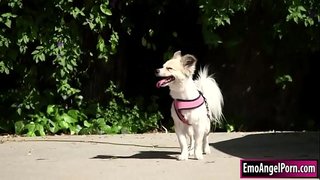 Petite tattooed babe finds her dog to her neighbors property.Her neighbor wants a reward,they remove their clothes and she then throats neighbors bigcock.In return her neighbor fucks her pussy and ass deep and hard until he cums on her.