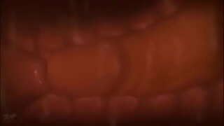 ���াঁড়ার রস খাবার, ভিতরে গর্ভ