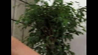 ���െട്രോ - Lesbian Sex - ദൃശ്യ 8 - extract 2