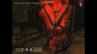 ���ूंछ के अंधेरे.avi